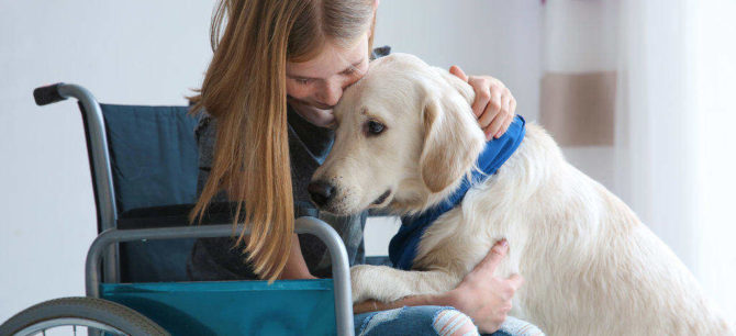 emotional support dog cuddling with a disabled girl